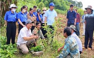 Quảng Ng&atilde;i ứng dụng khoa học c&ocirc;ng nghệ ph&aacute;t triển chăn nu&ocirc;i lợn an to&agrave;n sinh học - Ảnh 3.
