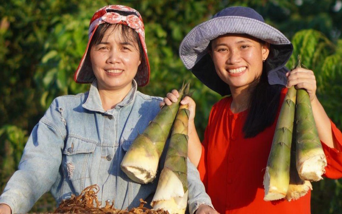 Ứng dụng khoa học công nghệ nâng cao giá trị măng Vót Sơn Tây