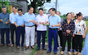 Hưng Y&ecirc;n t&igrave;m đầu ra thị trường cho 312 nhiệm vụ khoa học v&agrave; c&ocirc;ng nghệ- Ảnh 8.