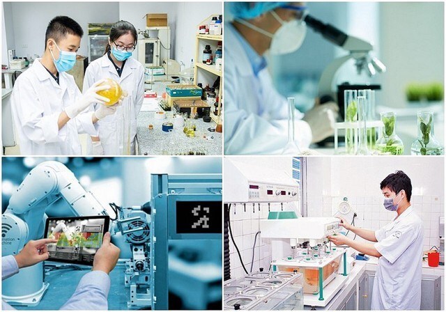 Cơ chế mới thu hút chuyên gia, tài năng trẻ trong lĩnh vực dữ liệu và đổi mới sáng tạo- Ảnh 1.