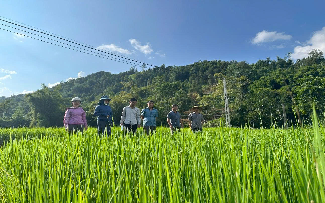 Đưa kết quả nghi&ecirc;n cứu khoa học v&agrave;o sản xuất tại v&ugrave;ng n&ocirc;ng th&ocirc;n Lạng Sơn- Ảnh 2.