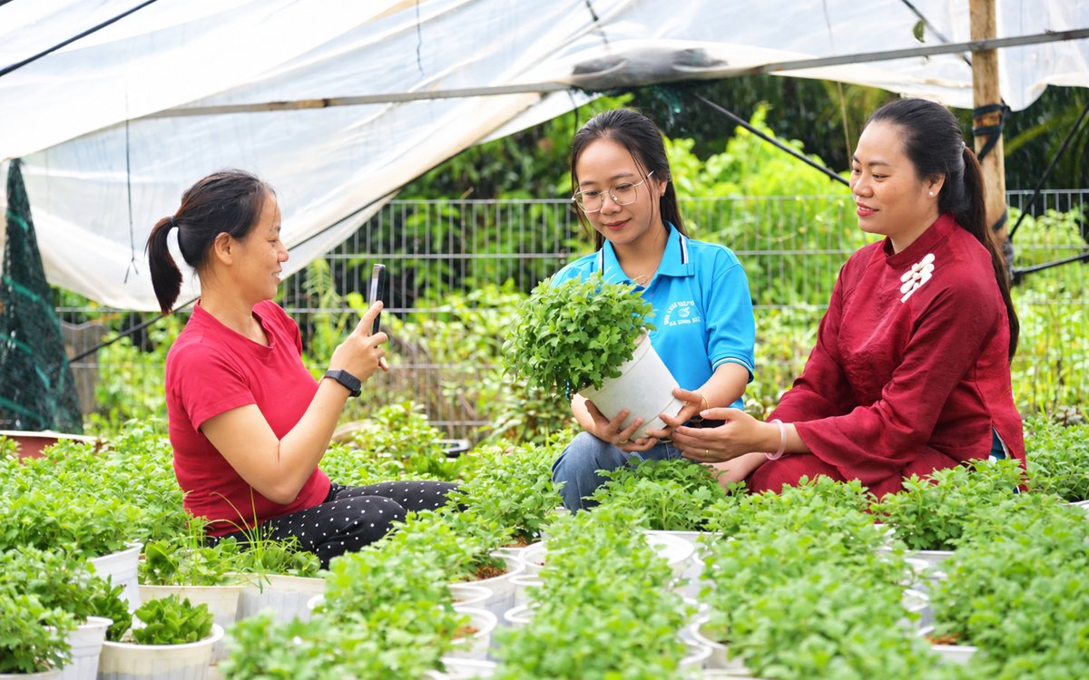 Quảng Ngãi: Mở rộng cơ hội khởi nghiệp từ nền tảng số